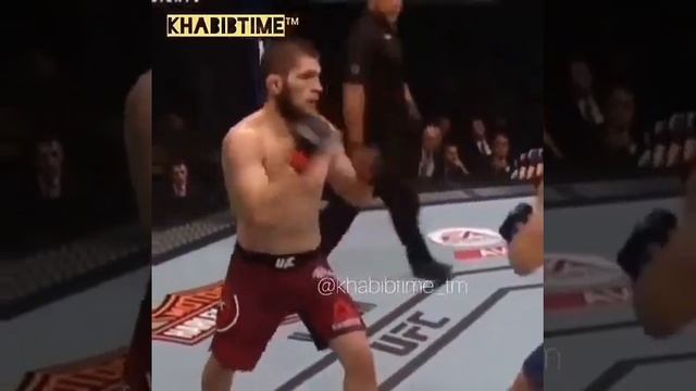 Хабиб нурмагомедов видео смотреть онлайн