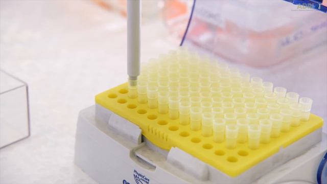 Video Training |Anatomical Pathology Processing of Mesothelioma смотреть онлайн