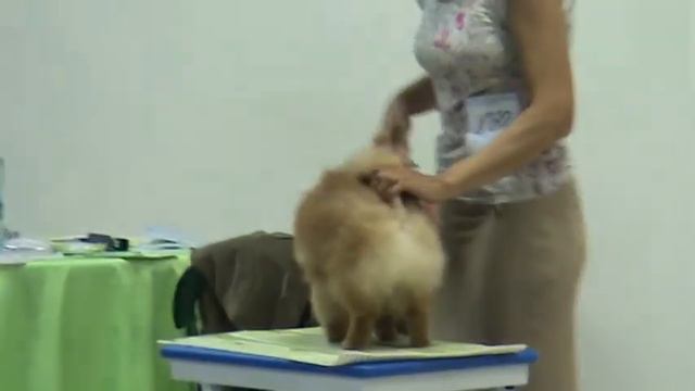 Гиня - Белые Ночи 2(1 часть) смотреть онлайн