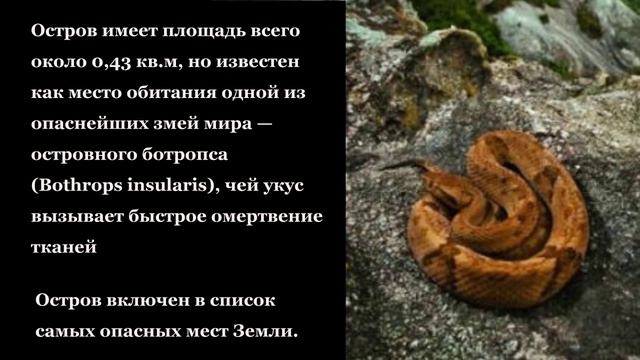 Самые интересные уголки на Земле, где животных больше, чем людей. смотреть онлайн