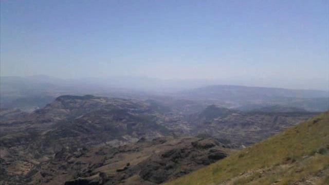 Aynur Yılmaz Cano Cano