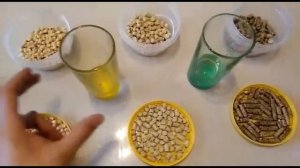 Древесный наполнитель как лучший вариант «цена-качество»