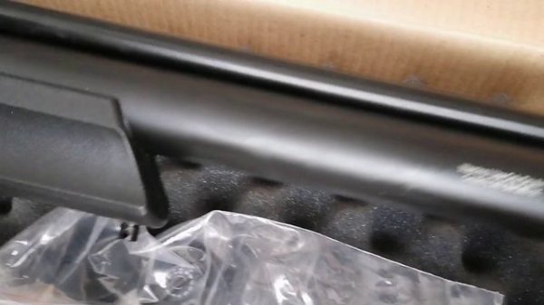 PCP Reximex Daystar к.5.5