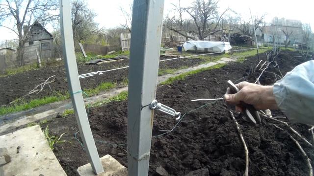 Двухплоскостная шпалера. Натяжка нижней проволоки. смотреть онлайн