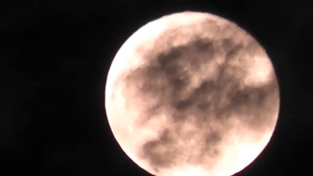 Luna y Panasonic HDC-SD60 смотреть онлайн