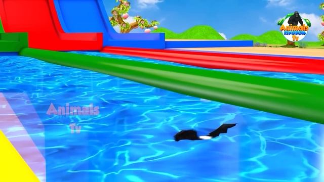 Cow Mammoth Elephant Tiger Gorilla Guess The Right Door With Animals Jump into Bathtub Game смотреть онлайн