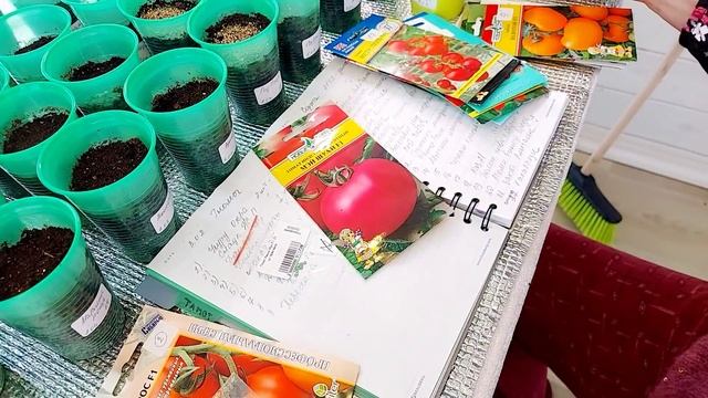 И всё таки делаю ставку на любимые ТОМАТЫ F1! Сегодня посею все!!! смотреть онлайн