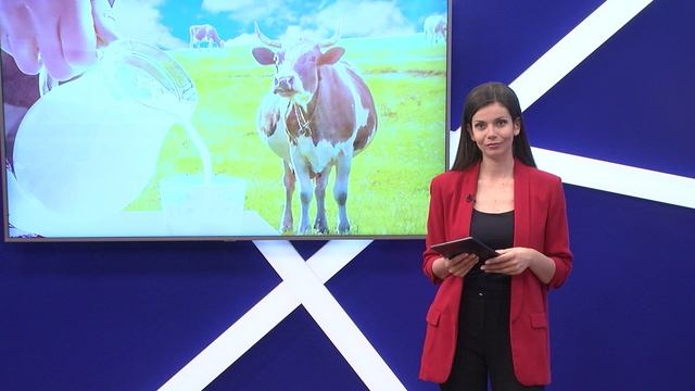 Новости "Волга - 24" 29.06.2022 11:00