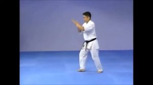 Кёкусинкай Карате/ Ката- Гарю/Kyokushin Karate/Kata Garyu