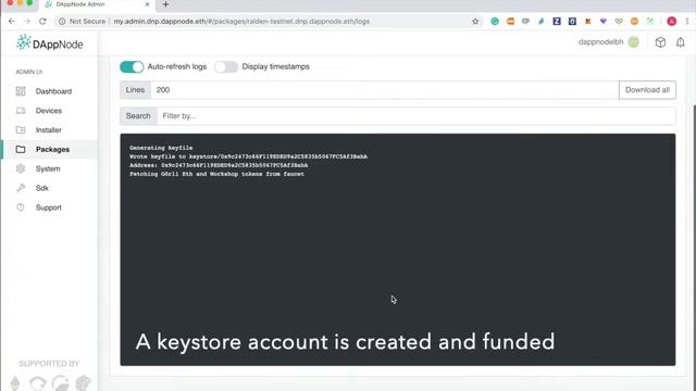 Setting up your RAIDEN node in your DAppNode смотреть онлайн