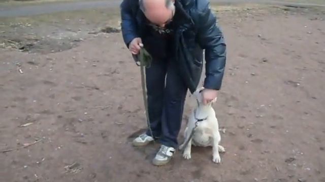 Первый раз учим команду "рядом" смотреть онлайн