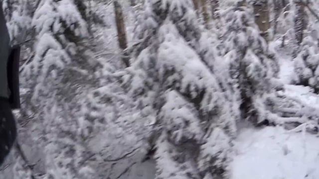 Охота на зайца 23 11 17 смотреть онлайн