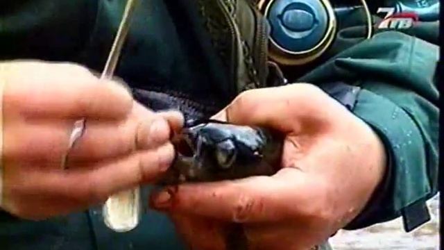 Диалоги о рыбалке №13. Рыбалка на хариуса на спининг смотреть онлайн