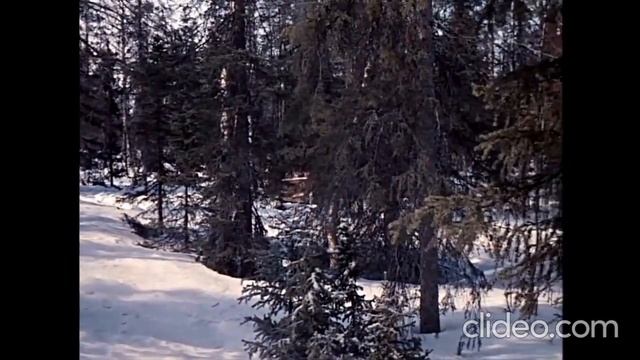 МОРОЗКО смотреть онлайн