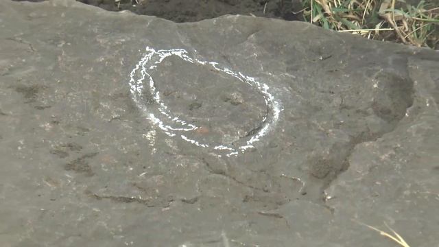 Млечный путь чародеев смотреть онлайн