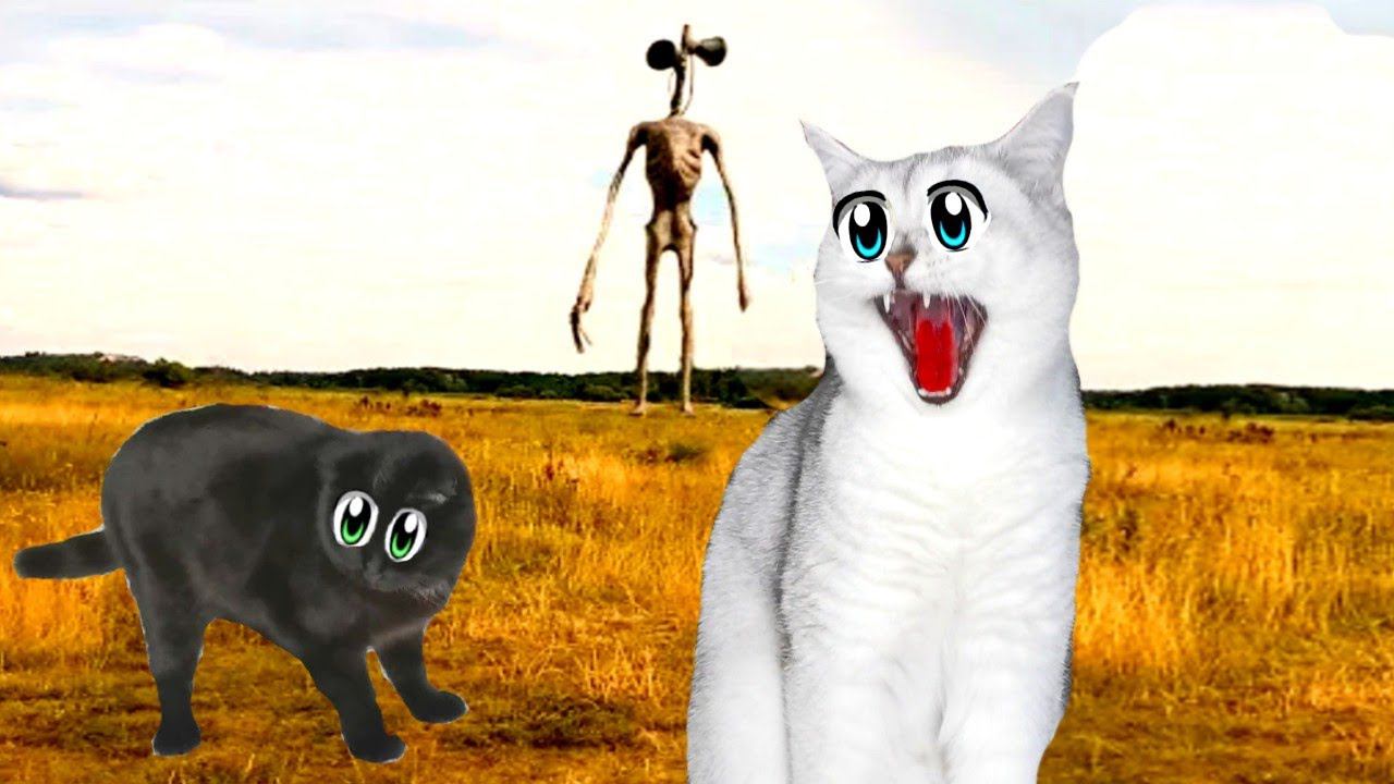 СИРЕНОГОЛОВЫЙ В РЕАЛЬНОЙ ЖИЗНИ ПОХИТИЛ НАШУ КОШКУ!!! смотреть онлайн