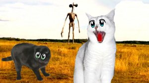 СИРЕНОГОЛОВЫЙ В РЕАЛЬНОЙ ЖИЗНИ ПОХИТИЛ НАШУ КОШКУ!!!