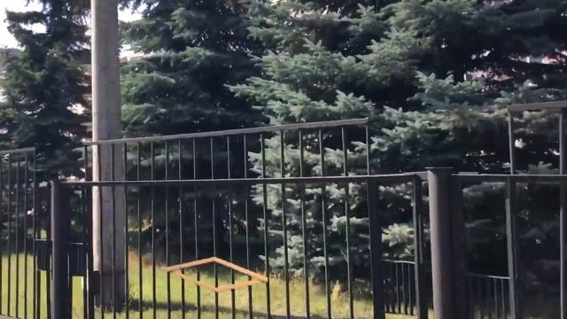 #Фокинка 1 сентября 2020 смотреть онлайн