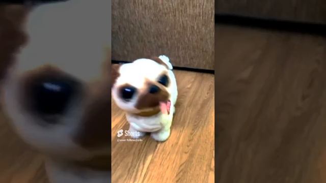 Суперська іграшка Pets Alive ❤️ танцюючий 312312РОБОТ МОПС від ZURU 🥰 смотреть онлайн