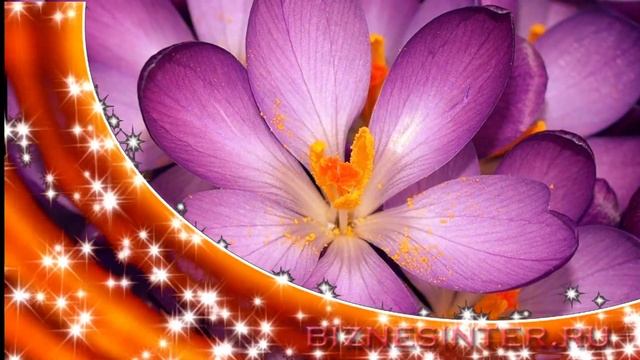 Маленький цветок #маленькийцветок #красота #Созданиевидео #МаргаритаЗемцова смотреть онлайн