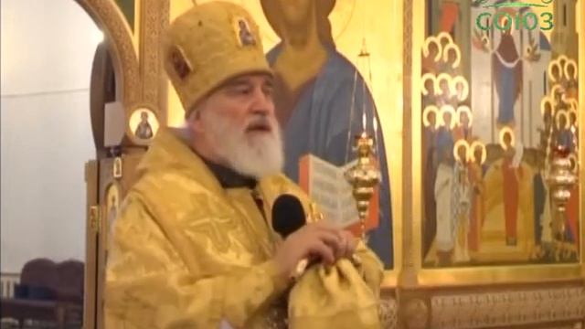 Владыка Минский Павел в Покровском храме Минска смотреть онлайн