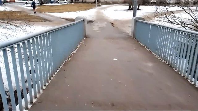 SPB/Vlog/Голодные утки#мы их кормим/Пожар в центре Валенсии!#/сгорели как спички!//