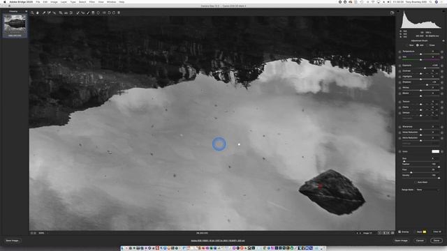 Dodging & Burning in Photoshop's Adobe Camera Raw - #StayHome & Learn Photography #WithMe смотреть онлайн