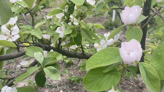 ЧЕМ ХУЖЕ ИДУТ ДЕЛА У ЖЕНЩИНЫ, ТЕМ ЛУЧШЕ ОНА ДОЛЖНА ВЫГЛЯДЕТЬ!!! смотреть онлайн