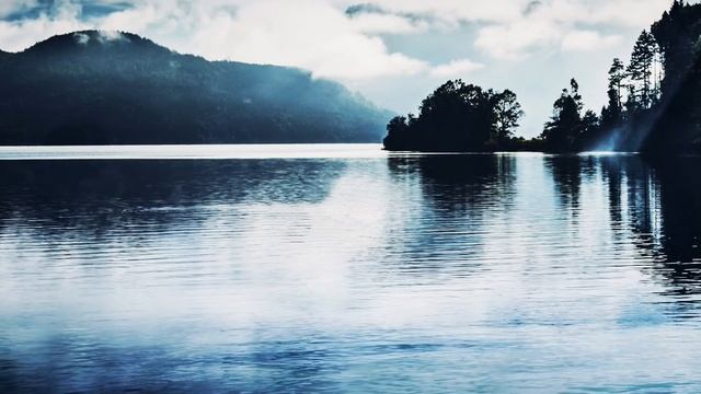 4k Fog ?️Туман 4k. Расслабляющая музыка для сна | Relaxing Healing Music смотреть онлайн