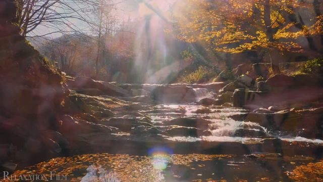 Autumn 4K • Scenic Relaxation Film With Peaceful Relaxing Music And Nature Video