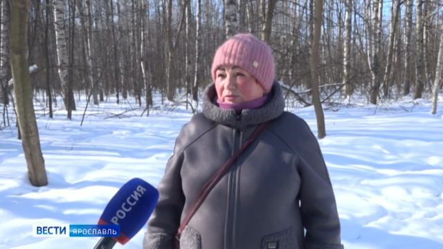 На благоустройство Павловской рощи в Ярославле потратят более 38 млн рублей смотреть онлайн