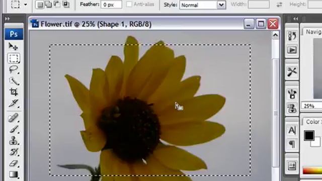 Select With a Marquee Tool in Photoshop CS3 смотреть онлайн