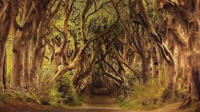 Кельтская мистическая музыка. Красивая, расслабляющая и медитативная музыка Э. Ф. Кортезе. смотреть онлайн