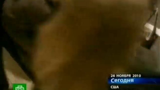 Jiteli SShA zanimayut mesta poblije ko vhodam v magaziny смотреть онлайн