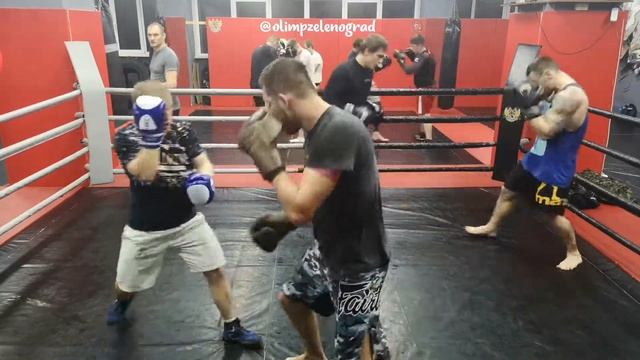 Olim zekenogram MMA смотреть онлайн