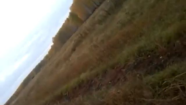 напал верблюд смотреть онлайн