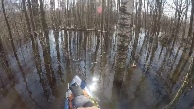 Путешествие по реке Цна в половодье на САП смотреть онлайн