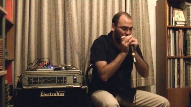 CELTIC MUSIC -BURNING IRISH HEART -harmonica cover + tabs- смотреть онлайн
