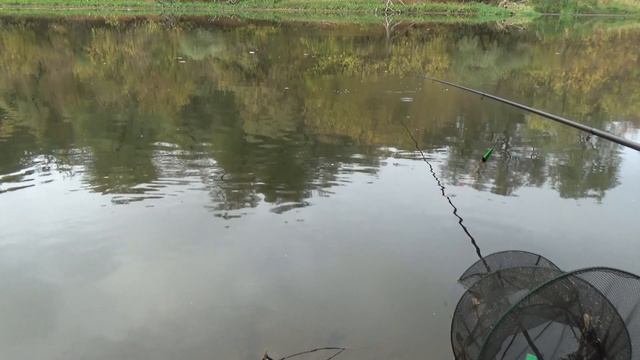 Рыбалка на реке золотой осенью поплавок болонка проводка плотва карась смотреть онлайн