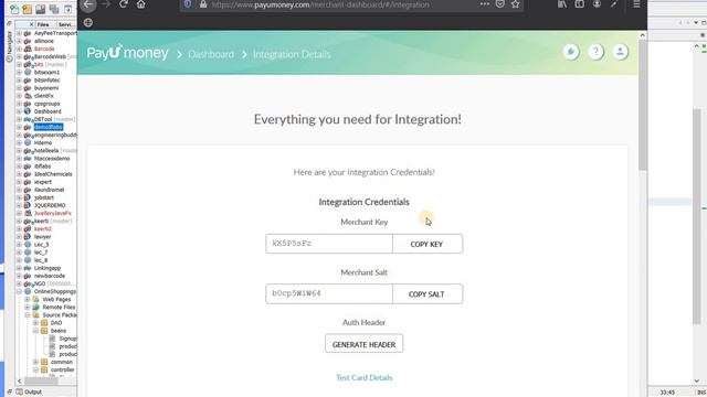 java web project 20 (payment gateway in java introduction) смотреть онлайн