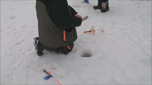 Поимки форели после запуска. Верхний пруд. Клёвое место Лосиный остров. смотреть онлайн