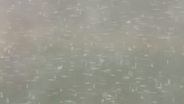 Инфузория туфелька смотреть онлайн