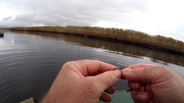 Рыбалка на КАРАСЯ осенью | Карась на поплавочную удочку смотреть онлайн