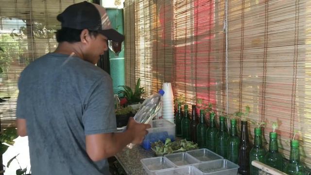 DIY SA PAG-GAWA NG HYDROPONICS SA BAHAY | Kratky Method | PlantPiece Ep.07 смотреть онлайн