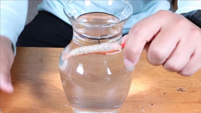 Does ProCure Gel Work On Gulp Baits? смотреть онлайн