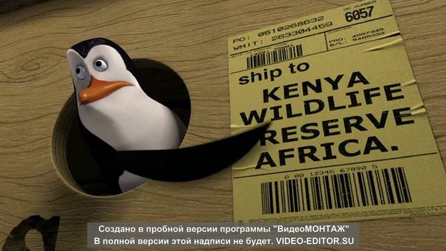 Мадагаскар Филл читать умеет смотреть онлайн
