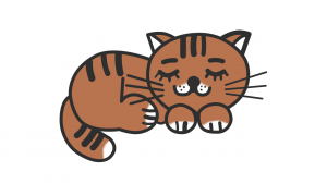 Как нарисовать кота