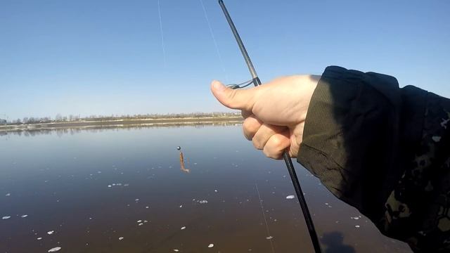 Спиннинг Hearty Rise Halcyon X HALX 732L. Окунёвая раздача. смотреть онлайн