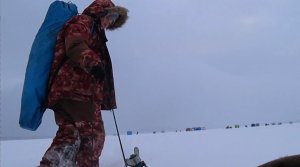 рыбалка 30 декабря / Тишина, снег идет , рыбка ловится.