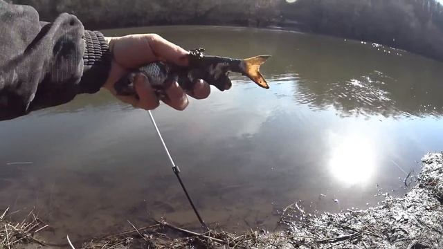 Открыл сезон, наловил рыбы, опробовал новый фидер Kaida inspiron 3 60 | Фидерная рыбалка в апреле смотреть онлайн